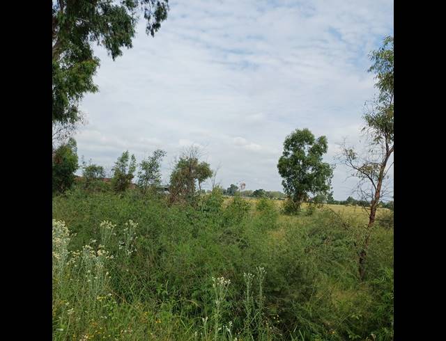 87,023M² VACANT LAND FOR SALE IN OPHIR AH